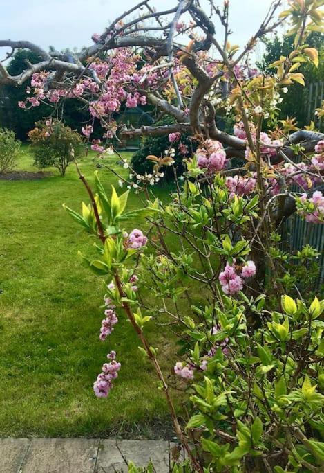 Kelvinside, Seahouses, 2 Minute Walk Into Village