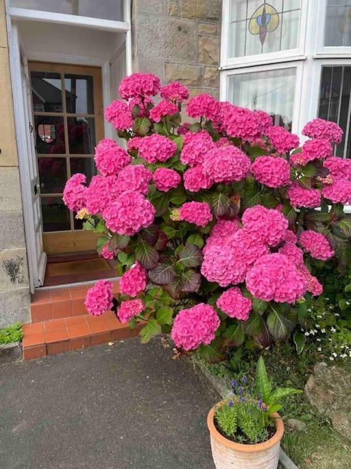 Kelvinside, Seahouses, 2 Minute Walk Into Village *