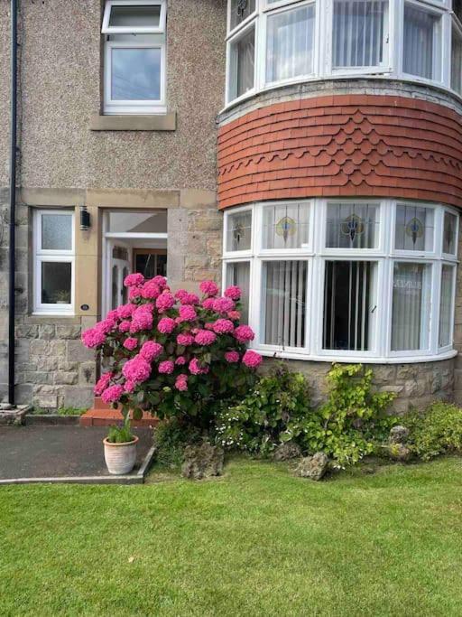 Kelvinside, Seahouses, 2 Minute Walk Into Village