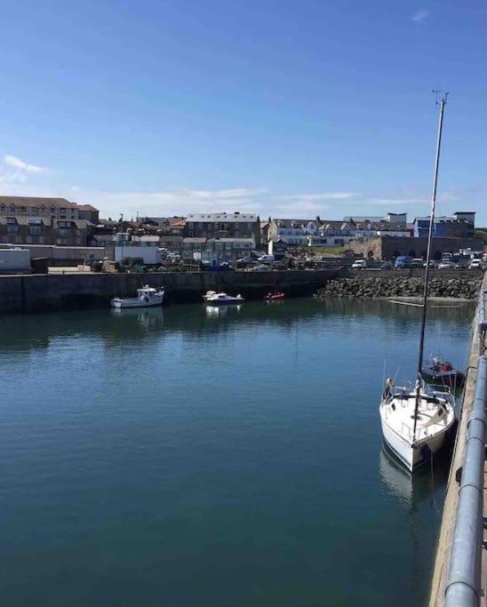 Kelvinside, Seahouses, 2 Minute Walk Into Village Holiday home